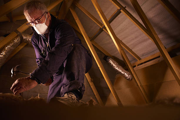 Best Insulation for Specific Applications in Christiana, TN