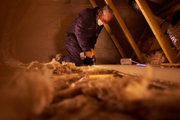 Best Insulation Maintenance and Repair in Christiana, TN
